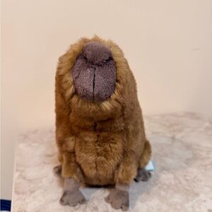 Jellycat my name is Clyde capybara